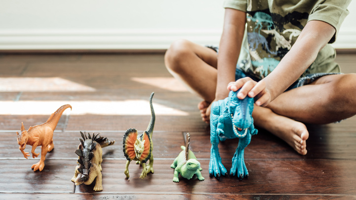 autism spectrum disorder, little boy playing with dinosaurs lined up