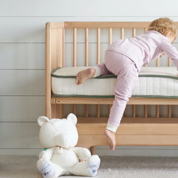 Best Toddler Mattresses - Avocado Organic Crib Mattress