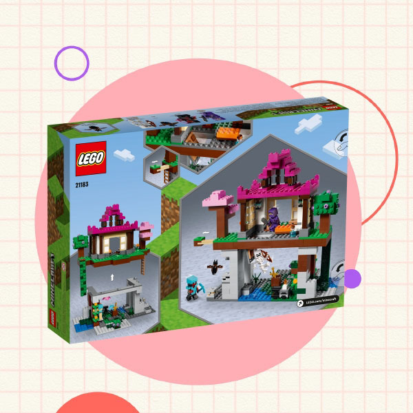 LEGO Minecraft Training Grounds
