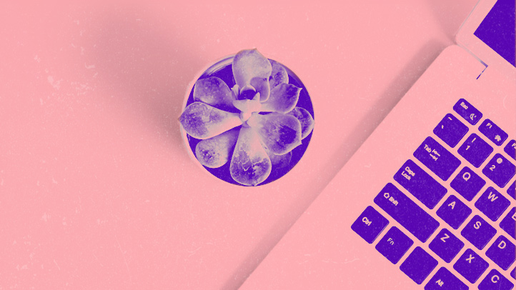 overhead view of a small succulent plant next to laptop on a desk