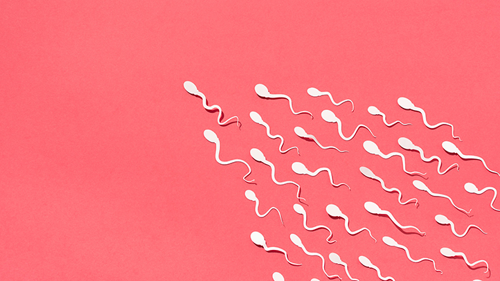 sperm allergy semen allergy fertility, sperm swimming on red background