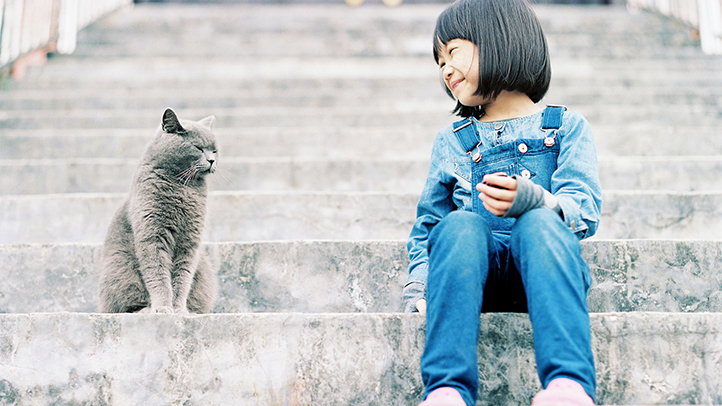 Your Child and Pet